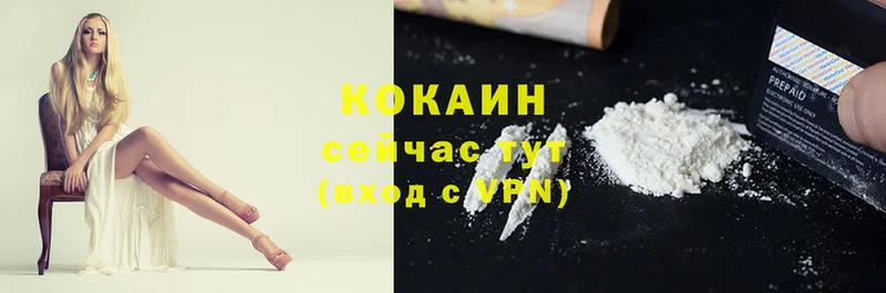 Cocaine FishScale  как найти наркотики  Курганинск 